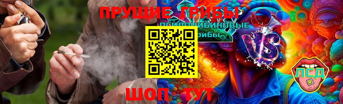 Гудермес  Галлюциногенные грибы мицелий  Вход с VPN 